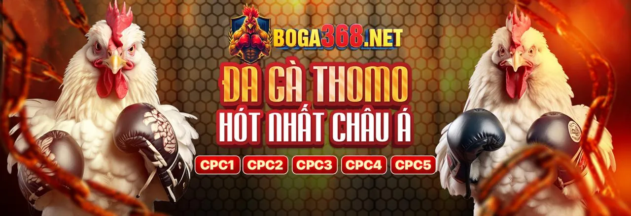 Đá gà trực tuyến kịch tính tại ga179 bet